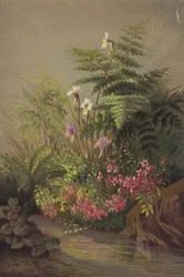 Flores junto a un arroyo